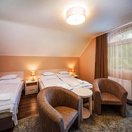 Tokajer Wellness Panzio Hotel 3*