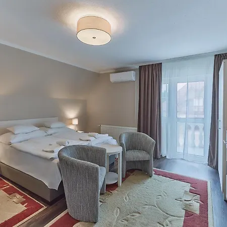 Tokajer Wellness Panzio Hotel