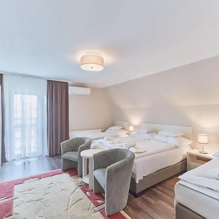 Tokajer Wellness Panzio 3*