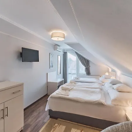Hotel Tokajer Wellness Panzio 3*