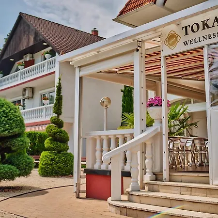 Tokajer Wellness Panzio 3*