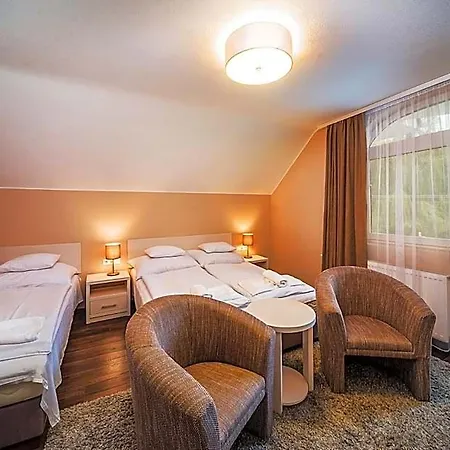 Tokajer Wellness Panzió Hotel