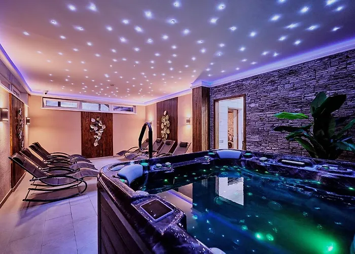 호텔 Tokajer Wellness Panzio 3*